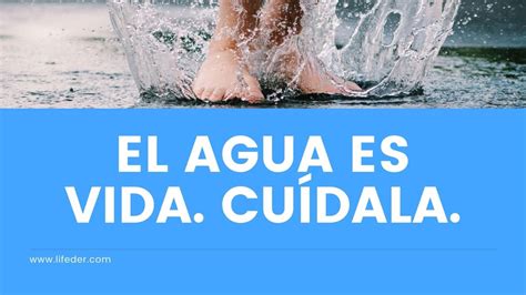 100 Frases para Cuidar el Agua en Casa y el Mundo (Cortas)