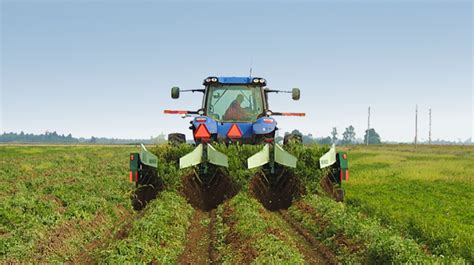 Pinto Bean Harvesting Equipment - We did not find results for: | luce-dale