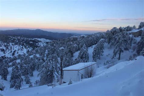 Snowy Mountains of Troodos - Olympos - Chionistra