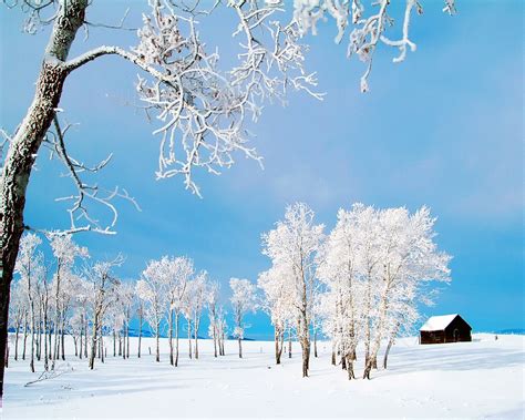 Screensaver: Winter Season Wallpapers