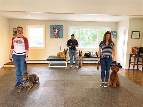 Group Dog Training Classes | Suffolk County NY | The K-9 Center