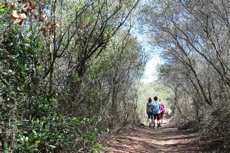 La Jolla Canyon hike. | Country roads, I want to travel, Close to home