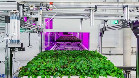 Pittsburgh robot farm business of future backed by Pritzker billions