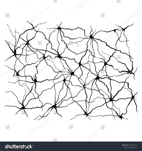 Vector Neural Network Stock Vector (Royalty Free) 1052456615 | Shutterstock