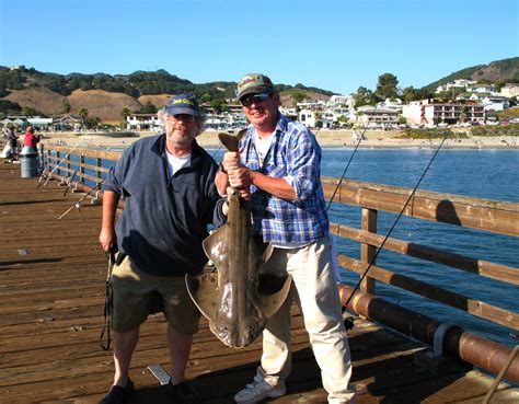 Pacific Angel Shark - Pier Fishing in California