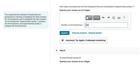 Solved How many chromosomes from the tetraploid lines are | Chegg.com