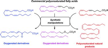 Synthetic manipulations of polyunsaturated fatty acids as a convenient strategy for the ...