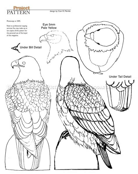 #912 Bald Eagle Carving - Wood Carving Patterns - Wood Carving | Wood carving patterns, Bird ...