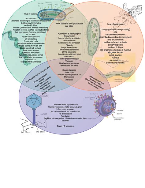 Venn diagram, Diagram, Diagram design