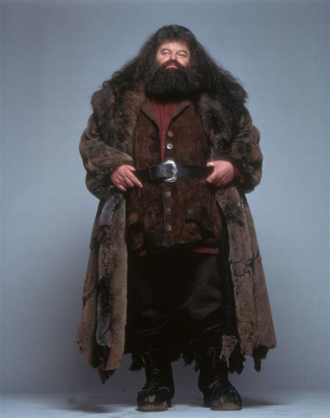 Rubeus Hagrid | Heroes and Villains Wiki | Fandom