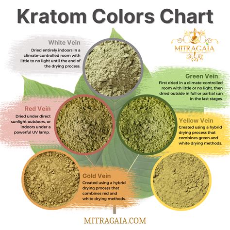 What Are Kratom Colors and Strains?: Chart and Explanation - MITRAGAIA