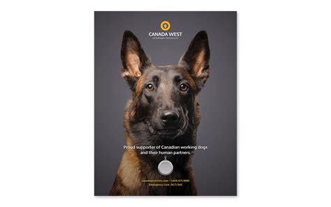 Client: Canada West Veterinary Specialists | Skunkworks Creative Group