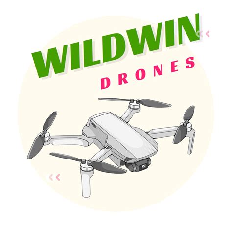 DJI Mavic 2 Pro RTF - Wildwin