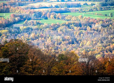 SKANEATELES, New York, United States — The vibrant fall colors of Upstate New York near ...