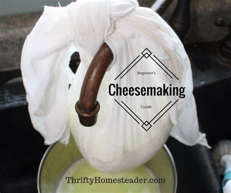 Cheesemaking for beginners