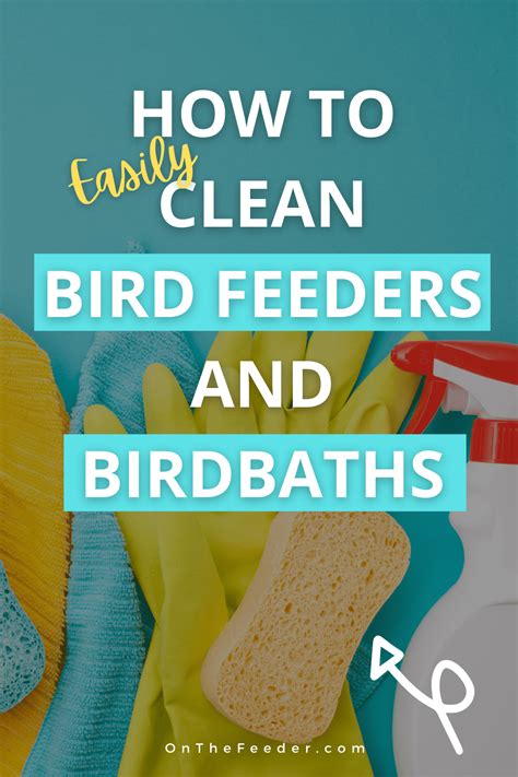 How to Clean Bird Feeders & Birdbaths to Avoid Harming the Birds