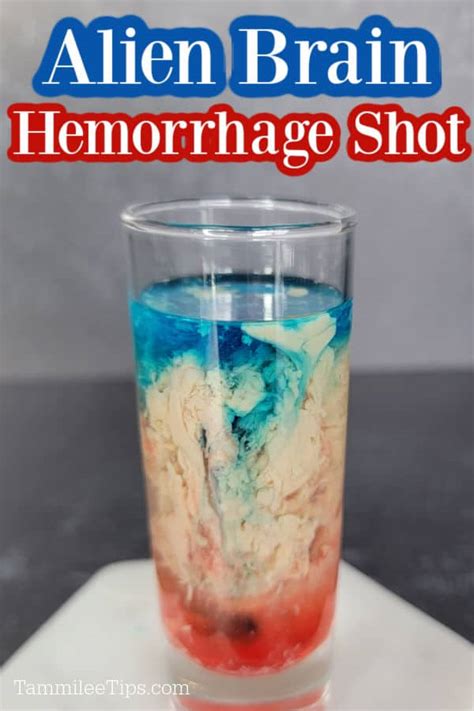 Alien Brain Hemorrhage Shot Recipe {Video} - Tammilee Tips