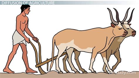 Agricultural Hearth Definition, Origin & Diffusion - Lesson | Study.com