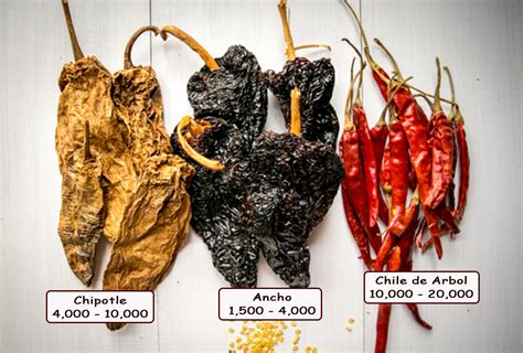 Ancho Chiles -- What You Need to Know | Mexican Please