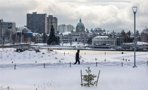 Vancouver Island weather: Wind chill near -20C in Victoria - Victoria ...