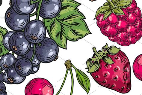 Berry hand drawn set, patterns | Drawing set, How to draw hands, Botany illustration