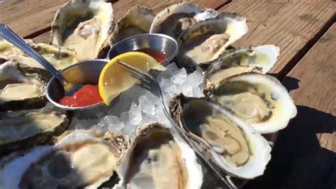 Oyster Farming From the Nursery to the Table - Good Morning America