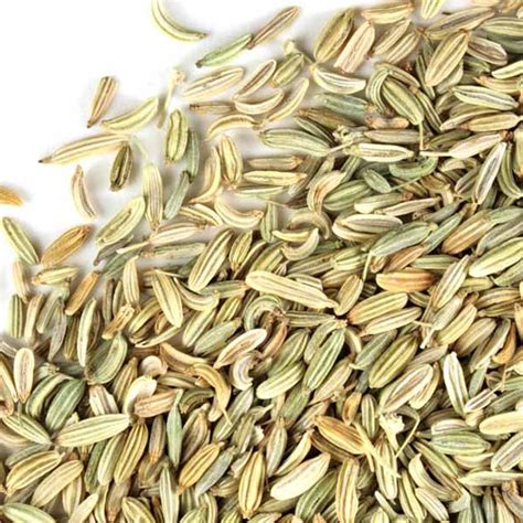 Monterey Bay Spice Co. - Fennel seed, whole Organic