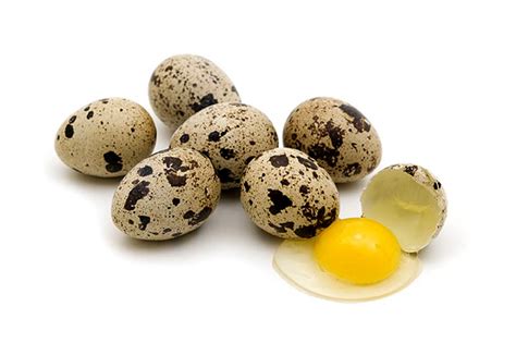 Quail Eggs - Advice and Treatment | BrightHealing.com