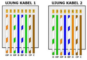 Susunan Kabel Straight & Cross, Urutan Warna + Tipsnya