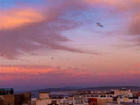 Where To Stay In Essaouira - Best Budget Hotels And Hostels | Journal ...