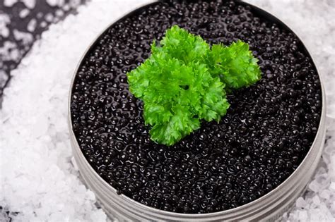 Buy Bowfin Caviar Online | Choupique | Seafood Delivery