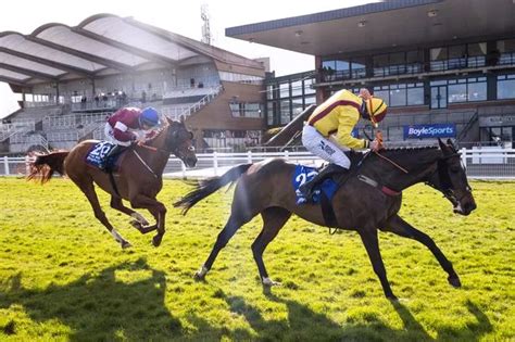 Horse Racing: the latest horse racing news from the Irish Mirror's ...