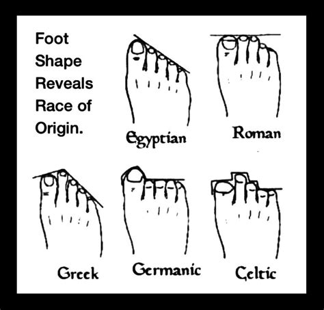 Your Foot Toe shape can tell you the Origin of your primary Race of People. | Learning quotes ...