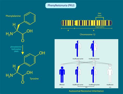 Dealing with Phenylketonuria (PKU) - The ZB Foundation