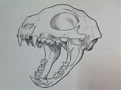 Pin by Dr. Godfrey Lambwell on Art | Skull drawing, Animal skull drawing, Animal sketches