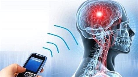 EMF Radiation: What Is definitely It? – Telegraph