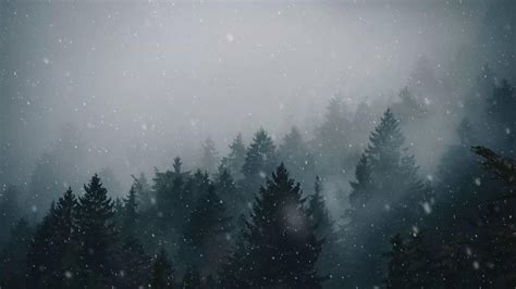Snowfall in Forest Animated Wallpaper