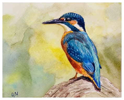 Kingfisher Watercolor Painting Giclee Print Original Artwork - Etsy ...