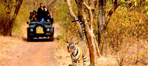 Ranthambore National Park