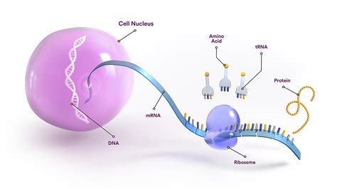 RNA Technologies for Rare Diseases | Sarepta Therapeutics