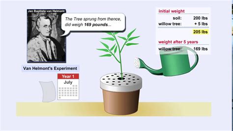 Photosynthesis and Van Helmont Experiment - YouTube