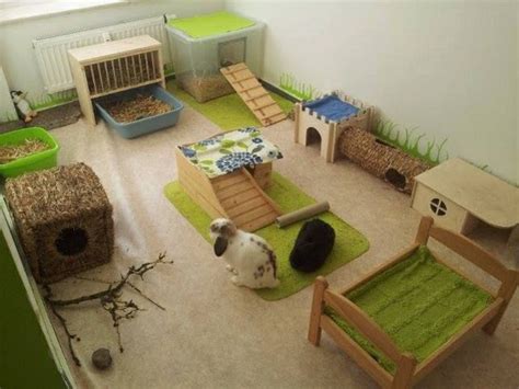 Habitat - Bunnies and Beyond