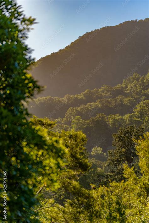 New Zealand scenery. Stock Photo | Adobe Stock