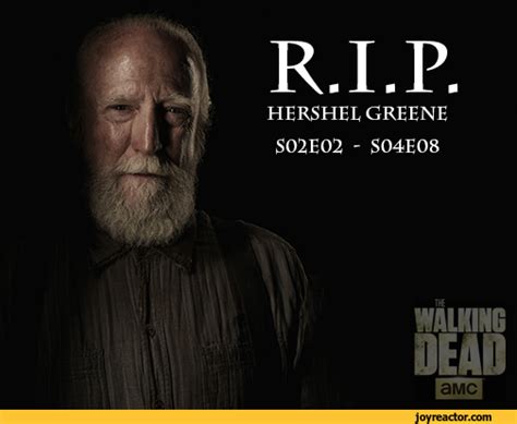 Walking Dead Hershel Quotes. QuotesGram