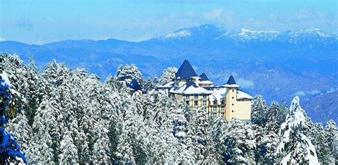 Wildflower Hall Shimla - Lela Shawna