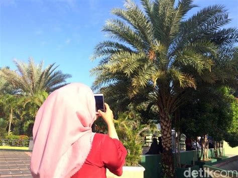 Bukan di Arab, 5 Pohon Kurma Ini Tumbuh di Pekarangan Masjid Indonesia