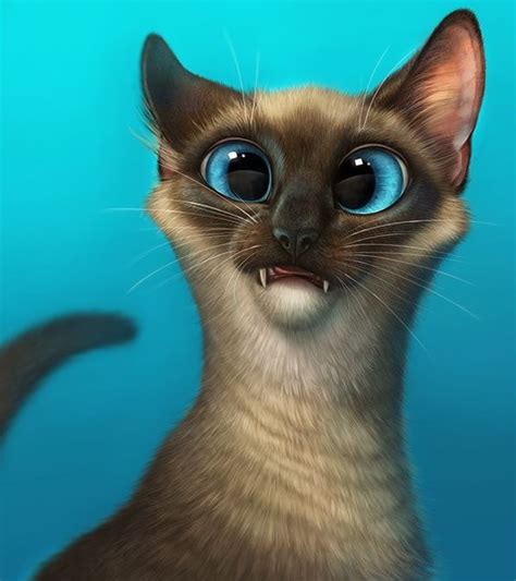 15 Funny Siamese Cats To Brighten Up Your Day | PetPress