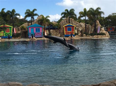 Sea World, Gold Coast in Australia | Look at out World