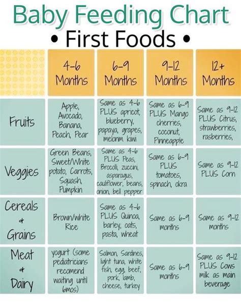 Baby Led Weaning Tips, Recipes, First Foods and More | Baby food recipes, Baby first foods, Baby ...