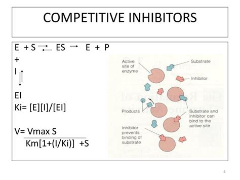 PPT - Lecture 7-Enzyme Inhibition-Drug Discovery PowerPoint Presentation - ID:5580915